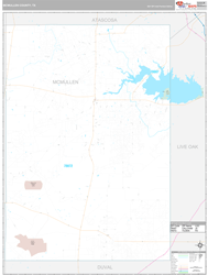 McMullen County, TX Wall Map Premium Style