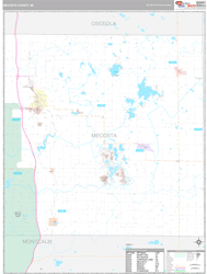 Mecosta County, MI Wall Map Premium Style