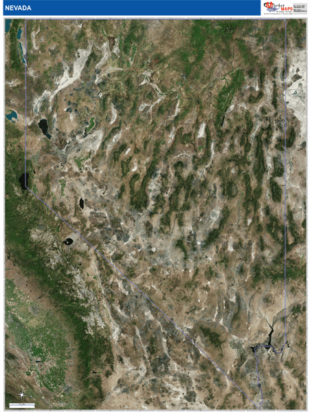 Nevada Wall Map