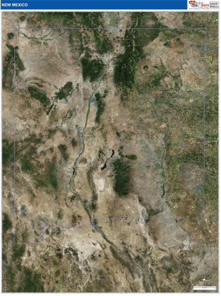 New Mexico Wall Map