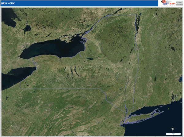New York Wall Map