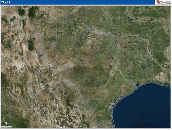 Texas Wall Map