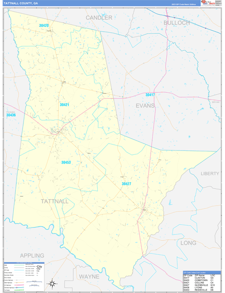 Tattnall County, GA Wall Map Basic Style