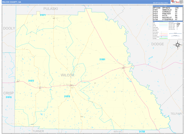 Wilcox County, GA Wall Map Basic Style