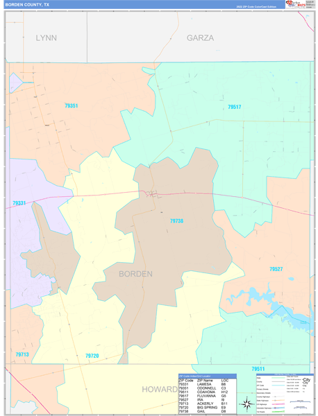 Borden County, TX Wall Map Color Cast Style