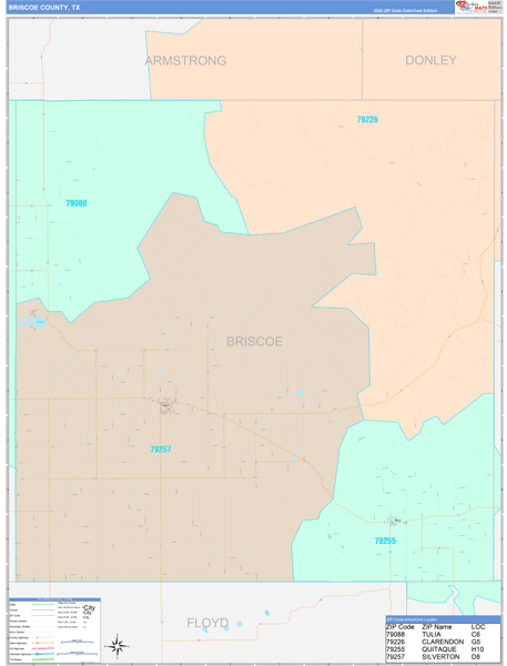Briscoe County, TX Wall Map Color Cast Style
