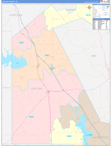 Live Oak County, TX Wall Map Color Cast Style by MarketMAPS - MapSales