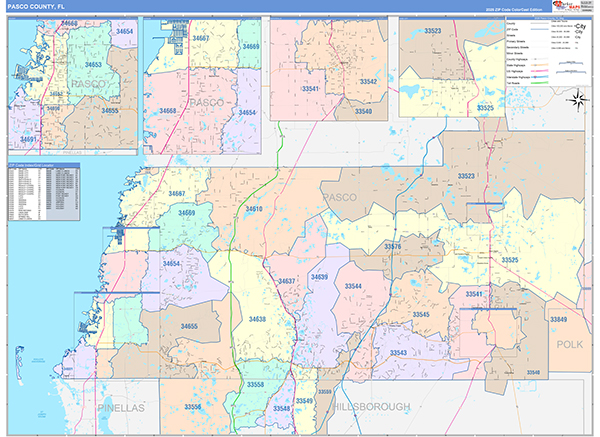 Pasco County Wall Map Color Cast Style