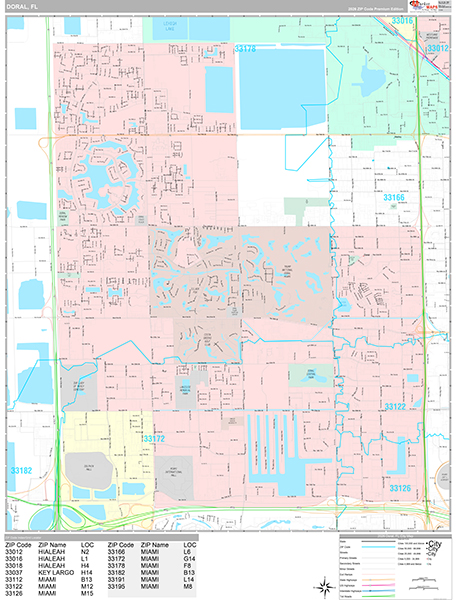 Doral City Wall Map Premium Style
