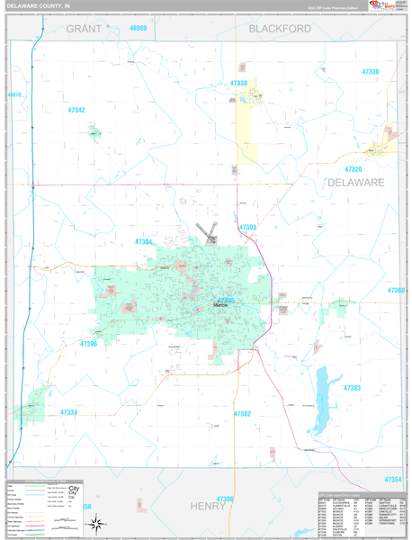 Delaware County, IN Wall Map Premium Style
