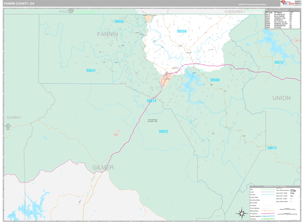 Fannin County, GA Wall Map