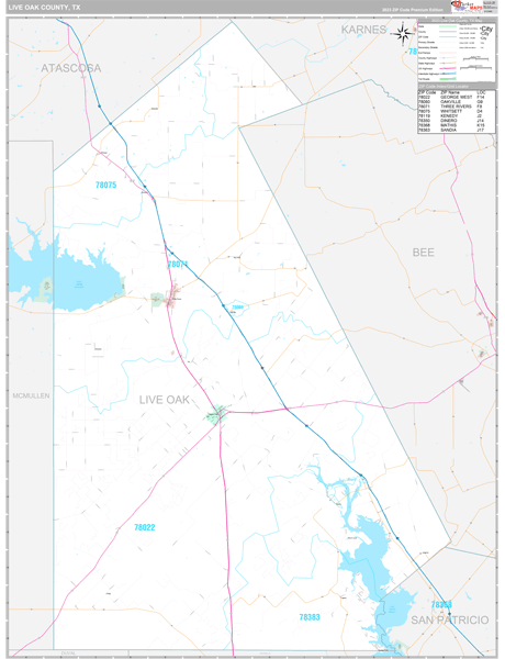 Live Oak County, TX Wall Map Premium Style by MarketMAPS - MapSales