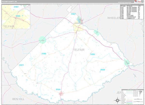 Telfair County, GA Wall Map