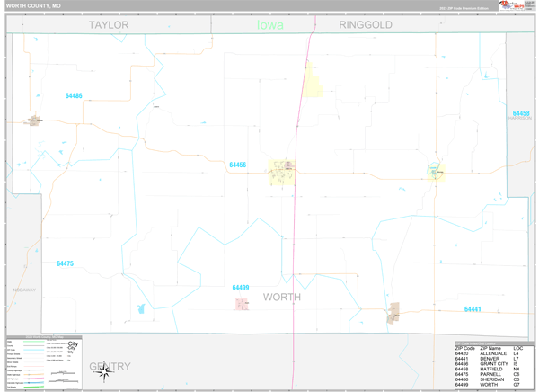 Worth County Wall Map Premium Style